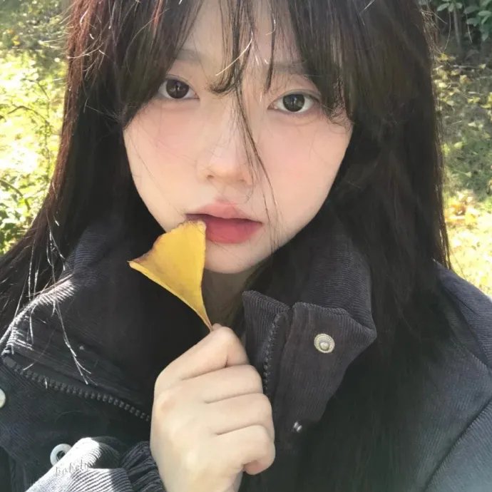 埃宫尤物